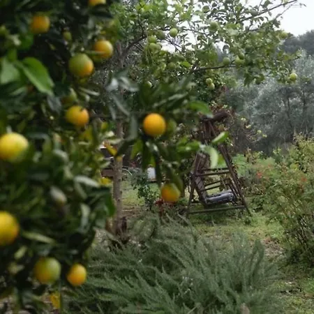 Breakfast Under A Tree Apartamento