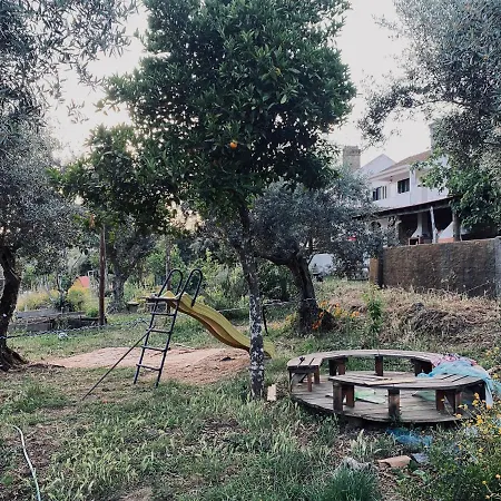 Breakfast Under A Tree Apartamento Serra