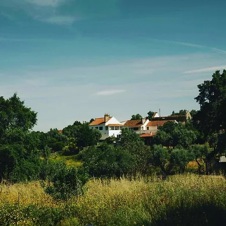 בית נופש Breakfast Under A Tree Apartamento
