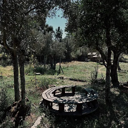 Breakfast Under A Tree