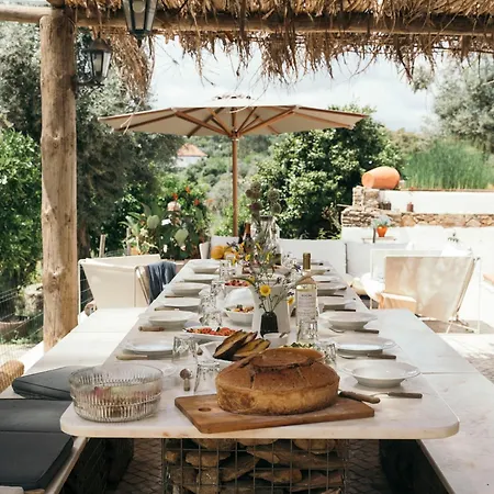 Breakfast Under A Tree * Tomar