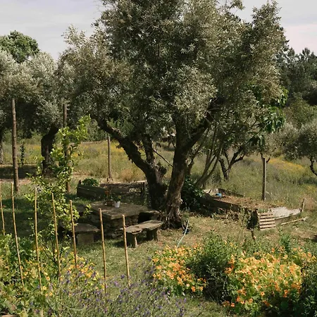 Breakfast Under A Tree Apartment *