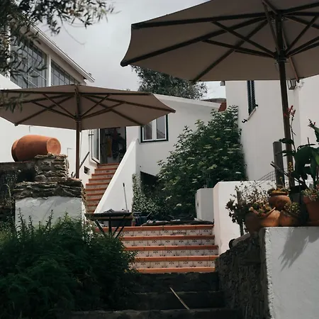Breakfast Under A Tree *